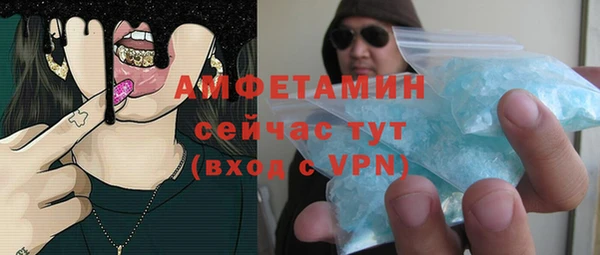 сатива Покачи