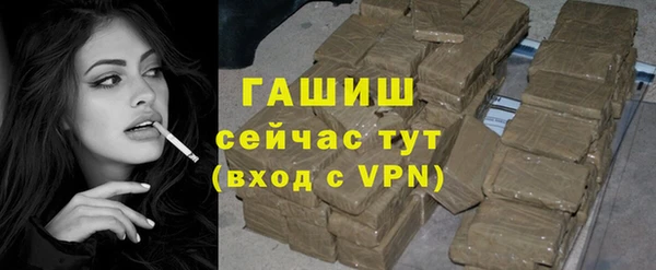сатива Покачи