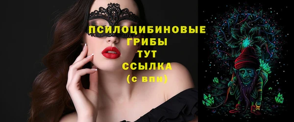 сатива Покачи