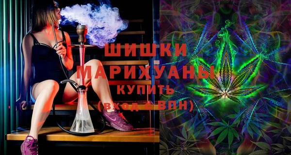 сатива Покачи