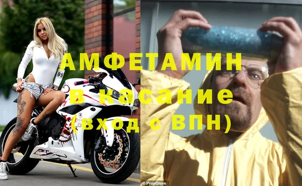 сатива Покачи