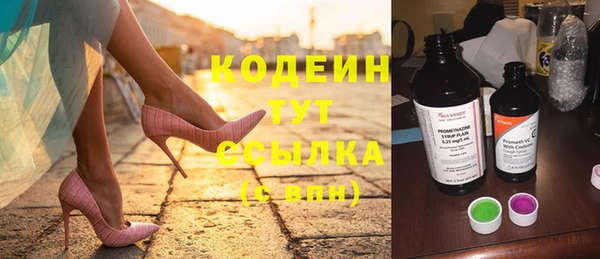 сатива Покачи