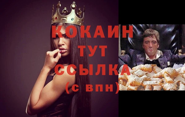 сатива Покачи